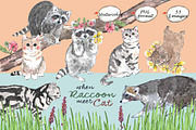 Raccoons & Cats-Watercolor Clipart, an Animal Illustration by VianneArt (Thumbnail 1 of 7)