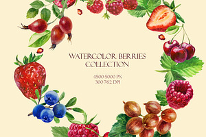 Watercolor Berries Collection