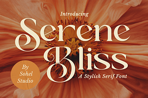 Serene Bliss - Modern Branding Font, a Serif Font by Sohel Studio