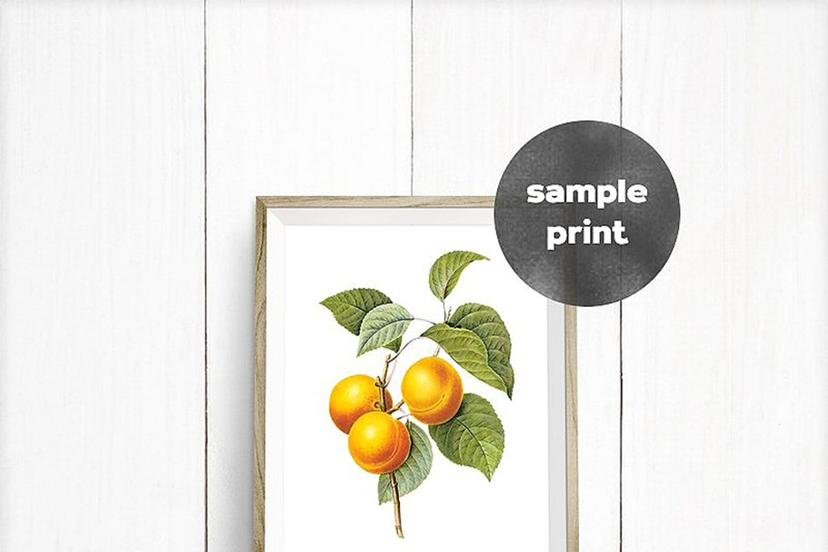 Framezilla Bundle. 55 Frame Mockups, a Mockup by Frisk Shop (Photo 7 of 13)