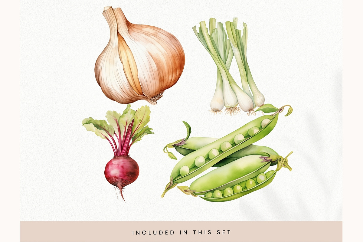 Watercolor Vegetables Clipart, Fresh, a Decorative Illustration by illuztrate (Photo 9 of 9)