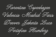 Royale Victoria | Handwritten Script, a Handwritten Font by Jolicia Type (Thumbnail 6 of 10)