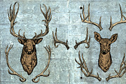 Deer and antlers set., an Object Graphic by ArtOwl (Thumbnail 1 of 4)