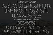PERFECT LEMONADE, a Sans Serif Font by FreshTypeINK (Thumbnail 3 of 8)