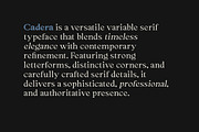 Cadera Serif | 162 Font Files, a Serif Font by Ws Studio (Thumbnail 7 of 12)
