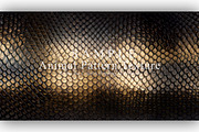 24 Animal Pattern Texture, a Background Graphic by NOMO DESIGN (Thumbnail 9 of 24)