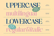 America Nights Modern Serif Font, a Serif Font by timelesstype.co (Thumbnail 9 of 20)