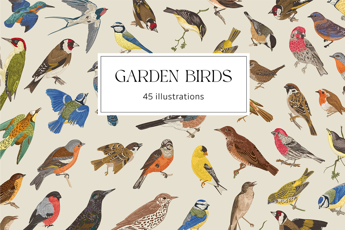 Garden Birds, an Illustration by olga.korneeva (Photo 1 of 5)