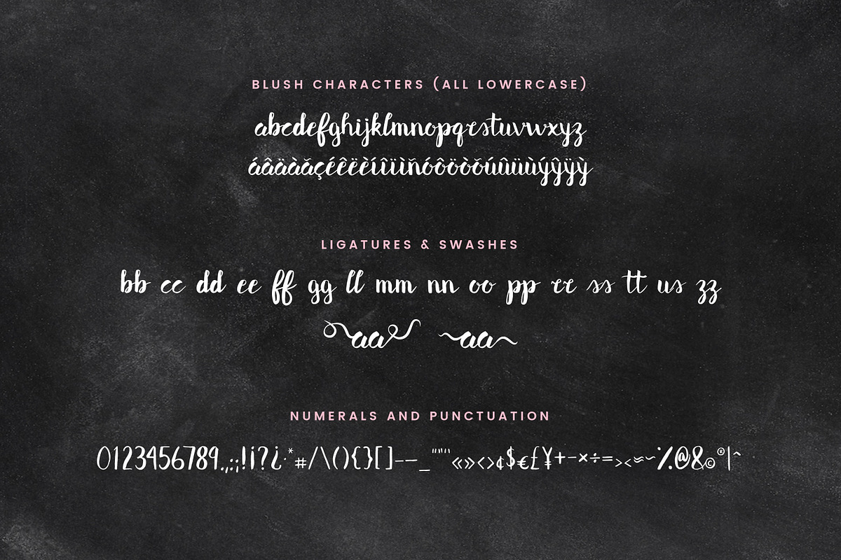Blush & Bliss | A Font Duo preview 3