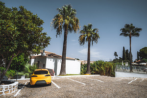 Yellow Car and Palms: Color Harmony