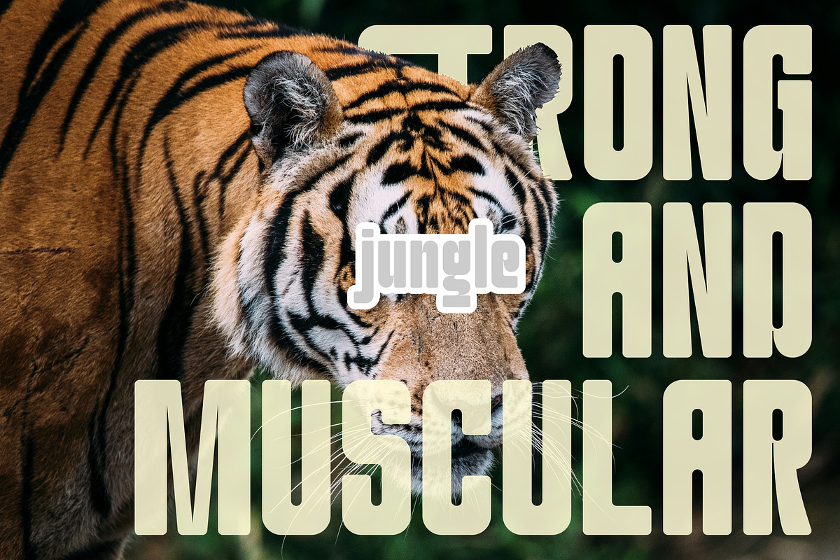 Qunko - Condensed Sans, a Sans Serif Font by ErgibiStudio (Photo 6 of 11)