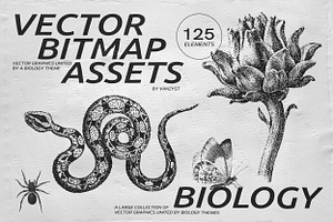 125 Vector Bitmap Assets. Biology