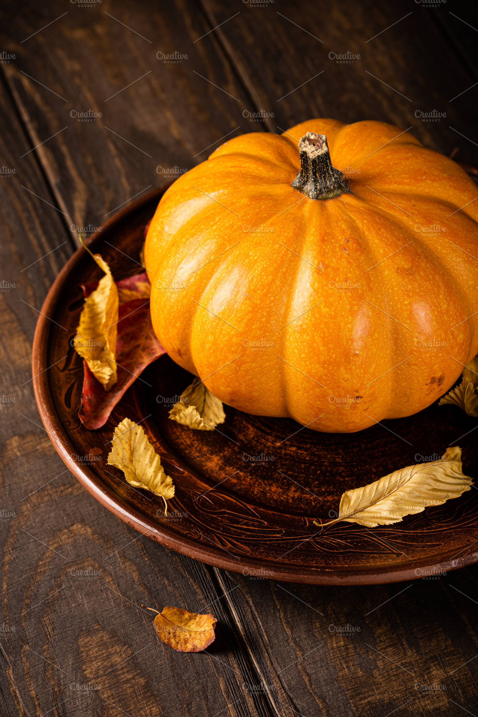 Autumn pumpkin thanksgiving containing autumn, background, and squash, a Holiday Photo by Iryna Melnyk Photography