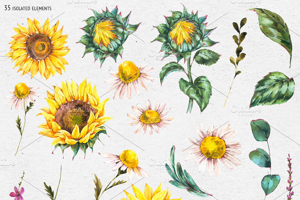 Sunflower rustic watercolor flowers, an Illustration by Depiano (Photo 2 of 10)