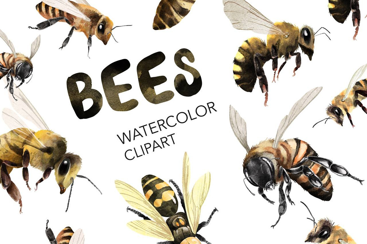 Watercolor Clipart Bee Art BumbleBee, an Animal Illustration by NKTKNS (Photo 1 of 6)