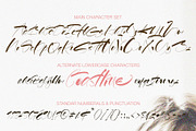 Coastline, a Script Font by Alcode (Thumbnail 8 of 8)
