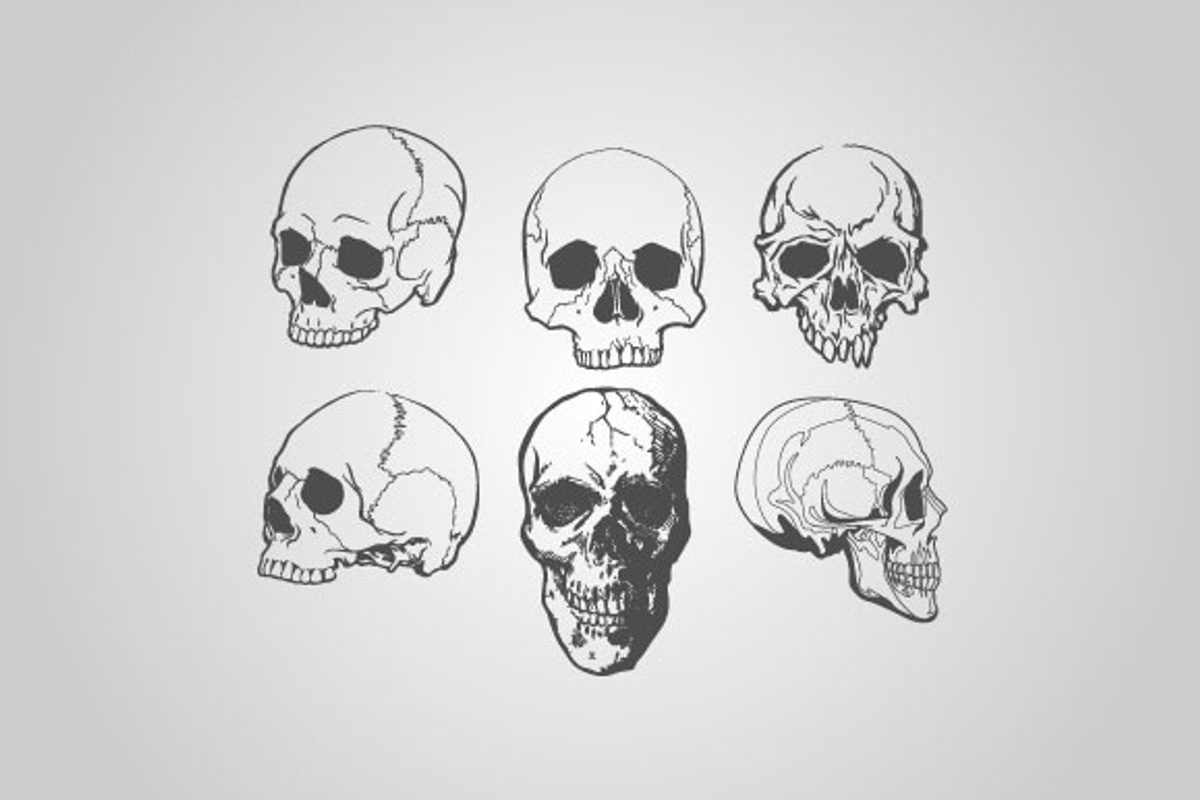Skull Designs (Vector) preview 2