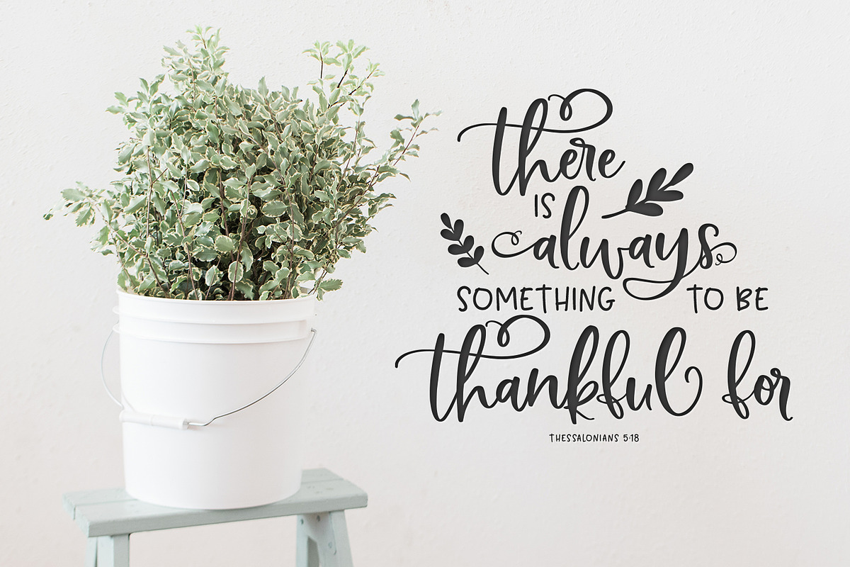 Bushel & Peck Fonts & Logos preview 7