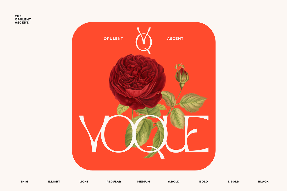 Opulent Ascend - 9 Font Family, a Sans Serif Font by Sans & Sons (Photo 7 of 10)