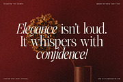 The Elfkin Editorial - Modern Serif, a Serif Font by SilverStag Type Foundry (Thumbnail 13 of 20)