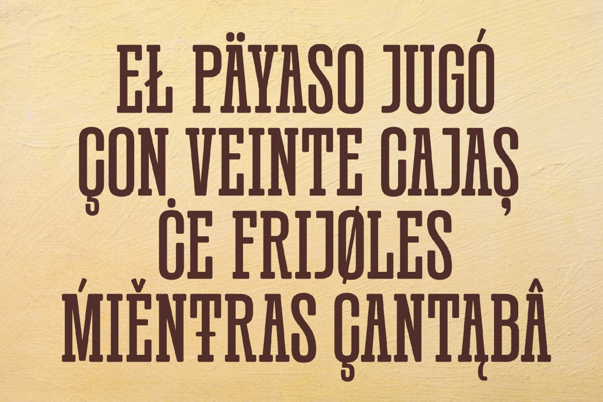 Slabdense, a Font by graphicook (Photo 3 of 10)