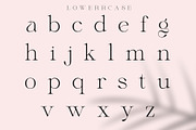 Megans | Elegant Stylish Serif, a Serif Font by Sealoung (Thumbnail 13 of 16)