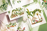 Tropical jungle - watercolor set, a Decorative Illustration by Pamyatka Shop (Thumbnail 9 of 27)