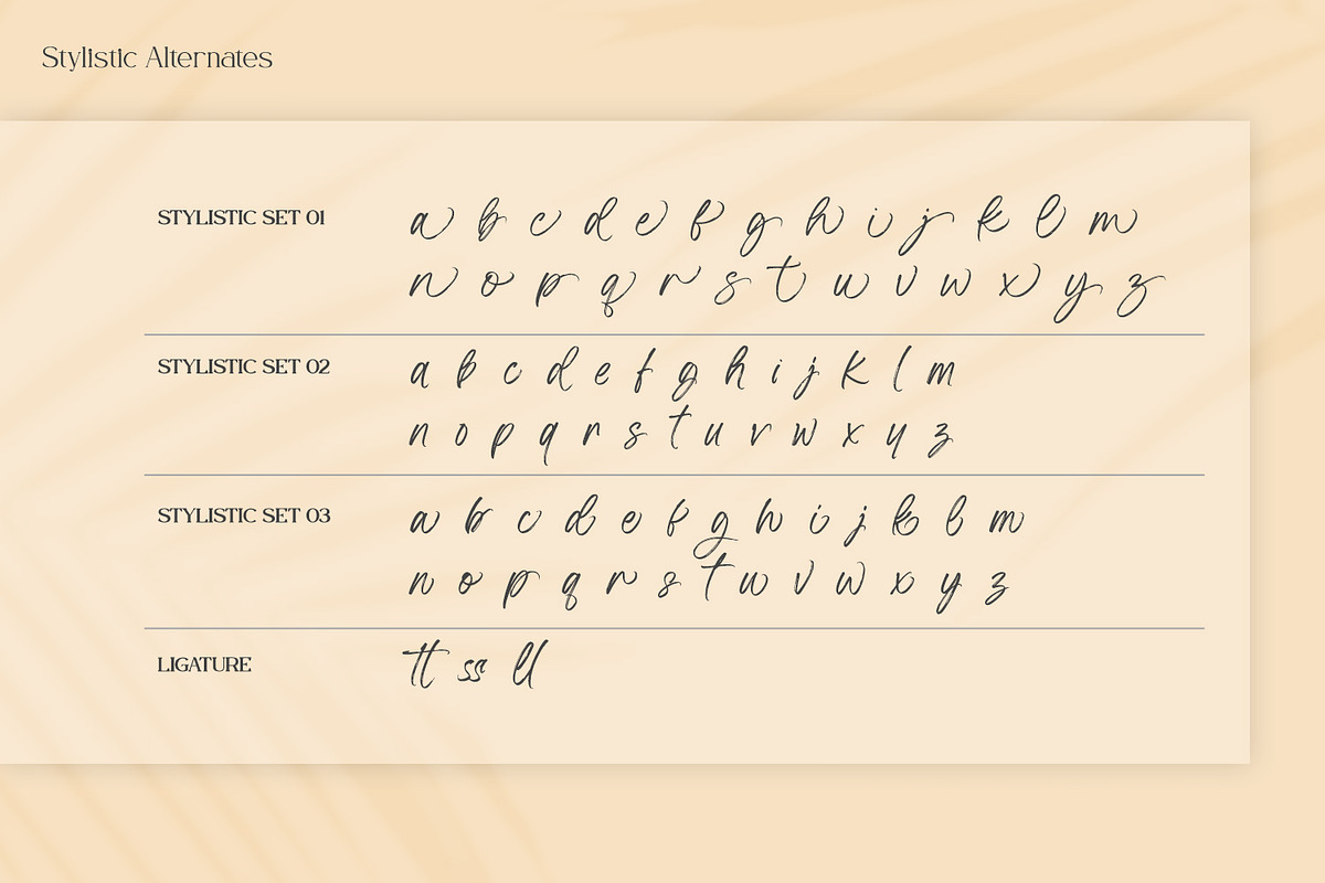Yellow Palette, a Script Font by din-studio.com (Photo 10 of 10)