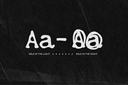 Ashford | D.I.Y. Weathered Serif, a Font by RS Design Co. (Thumbnail 4 of 5)