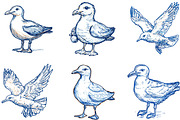 Hand Drawn Seagull Clipart PNG, an Illustration by Designking (Thumbnail 4 of 4)