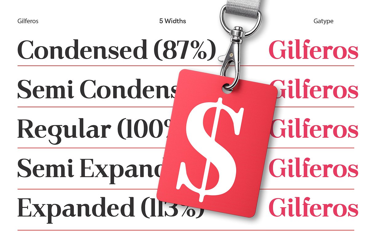 Gilferos, a Serif Font by Gatype (Photo 4 of 16)