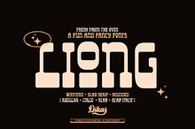 Liong - 4 Fonts Styles
