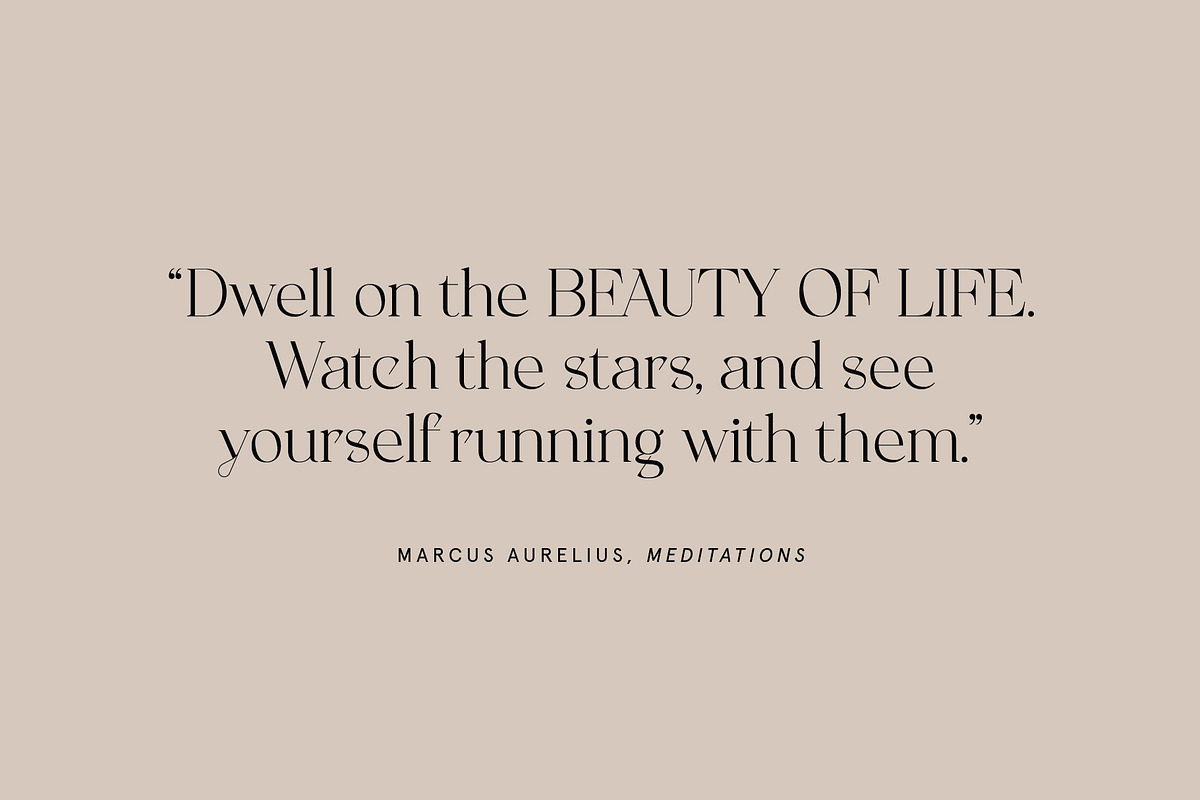 Musque – Unique Elegant Display Font, a Serif Font by Studio Aurora (Photo 6 of 12)