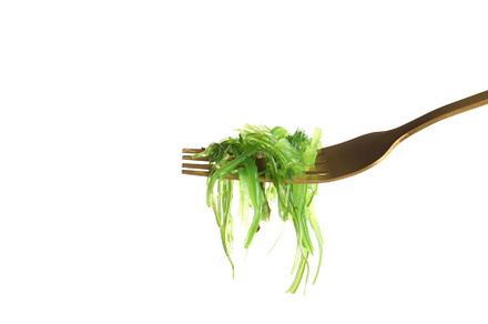Spoon with Chuka isolated on white background, a Food & Drink Photo by AtlasStudio PRO