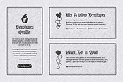Timeless Engraving Photoshop Brushes, a Brush Add-On by brushapes.com (Thumbnail 13 of 13)