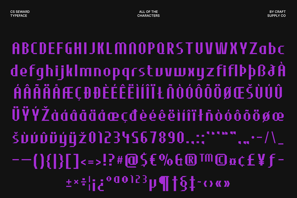 CS Seward – Industrial Font, a Sans Serif Font by Craft Supply Co. (Photo 8 of 8)