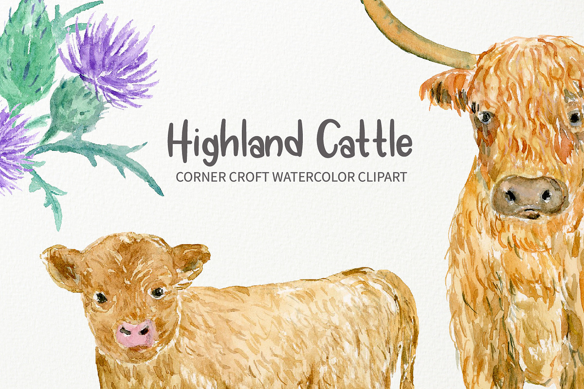 Watercolor Highland Cattle Clipart, an Animal Illustration by Corner Croft (Photo 5 of 6)