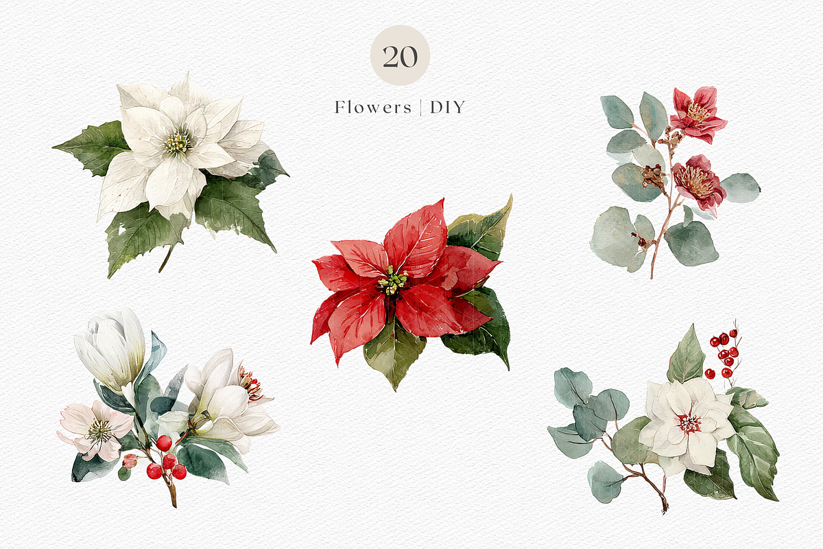 Watercolor Christmas Botanicals, a Decorative Illustration by ThaismotaCreativeCo (Photo 3 of 11)