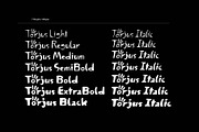 Torjus Font Family, a Sans Serif Font by Ryul Davidson (Thumbnail 4 of 17)