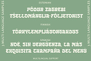 Palmica - Tropical Font, a Serif Font by Arendxstudio (Thumbnail 10 of 13)