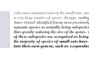Felis Script, a Script Font by Typomancer (Thumbnail 5 of 5)