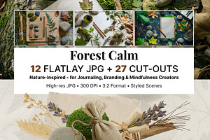 Forest Calm  Flatlays, Botanical PNG