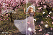 PINK Rose Petals photo overlays, an Object Graphic by 2SUNS (Thumbnail 3 of 9)