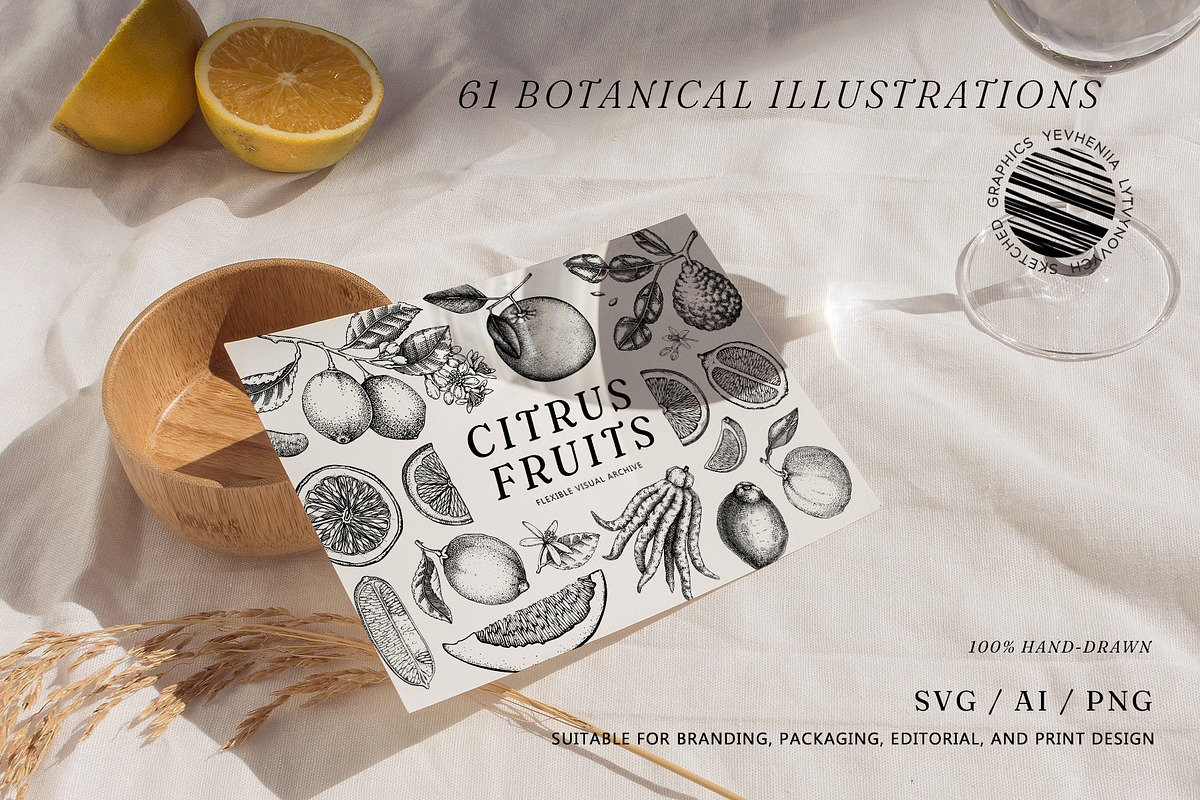 Citrus Fruit Vector Illustration Set, a Food Illustration by Yevheniia (Photo 11 of 11)