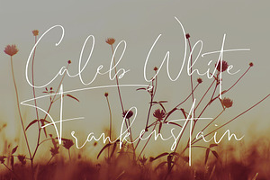 Kastangel - Handwritten Script Font