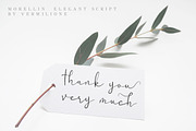 Morellin Elegant Script, a Script Font by Say Studio (Thumbnail 16 of 16)