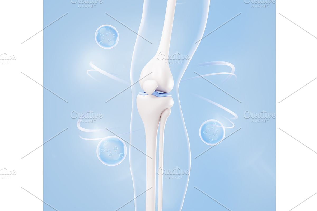 3D knee anatomy - healthy human, a Healthcare Illustration by Marozhkastudio