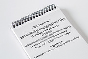 Ladybugs Script Font, a Script Font by PARAMAJAN (Thumbnail 6 of 11)