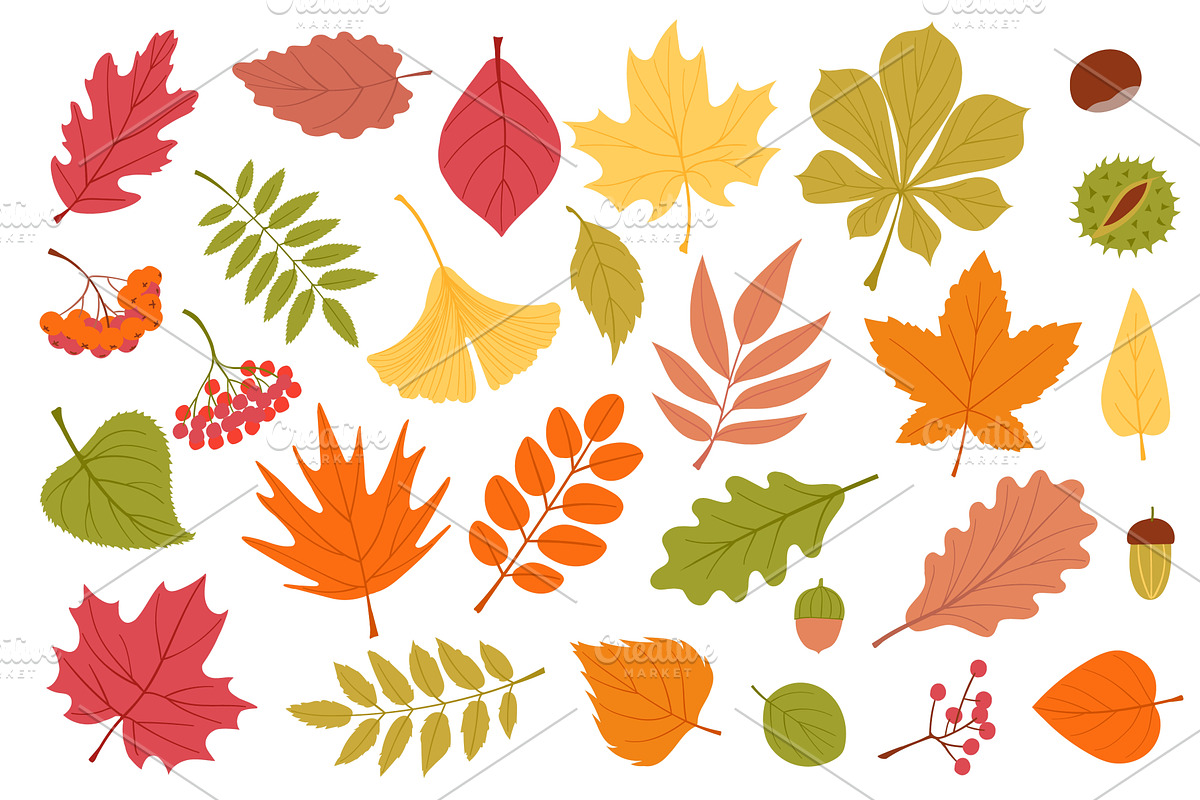 Cartoon autumn leaves. Fallen, an Object Illustration by YummyBuum