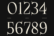 CS Garens – Modern Serif Font, a Serif Font by Craft Supply Co. (Thumbnail 4 of 8)
